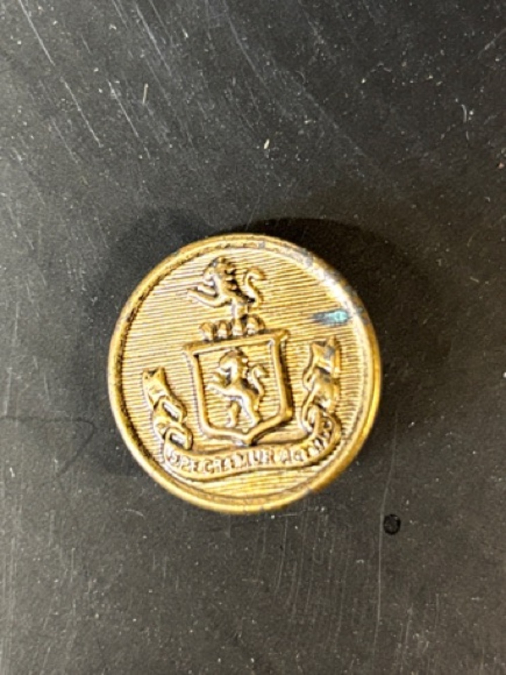 Antique-Style Brass Round Shank Button
